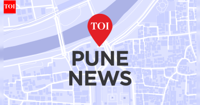 लाडकी बहिन योजनेच्या डिसेंबरच्या देयकाच्या विलंबामुळे नागरी निवडणुकांपूर्वी महायुती चिंतेत आहे