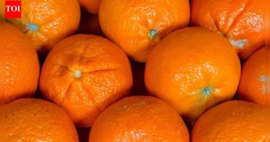 संत्री अधिक काळ ताजी कशी ठेवायची: त्यांना साठवून ठेवण्याचे आणि सुकणे थांबवण्याचे सोपे मार्ग |