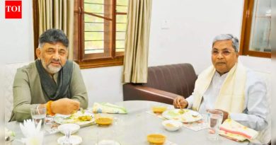 ‘मला माझ्या मर्यादा माहित आहेत’: कर्नाटकच्या गेम ऑफ थ्रोन्समध्ये, डीके शिवकुमार म्हणतात ‘माझ्यात आणि सीएम सिद्धरामय्यामध्ये फरक नाही’