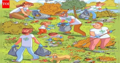 ऑप्टिकल भ्रम: सर्वात हुशार देखील लपलेला उंदीर शोधण्यात अयशस्वी, तुम्हाला तो 15 सेकंदात सापडेल का?