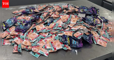 तंबाखू, पान मसाल्यावरील नवीन सेससाठी एफएम आज बिल सादर करणार आहे