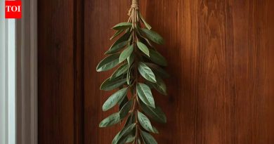 ही साधी स्वयंपाकघरातील औषधी वनस्पती तुमच्या दारावर टांगून पहा आणि तुमचा रात्रीचा ताण नाहीसा होताना पहा |