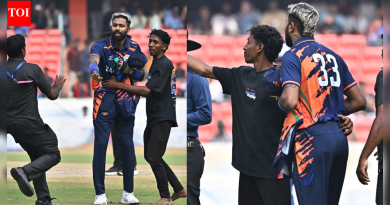 हार्दिक पंड्याच्या झंझावाती 77* धावांनी बडोद्याला विक्रमी धावांचा पाठलाग करण्याची ताकद दिली; सेल्फी घेण्यासाठी चाहत्याने सुरक्षा कठडा तोडला – पहा