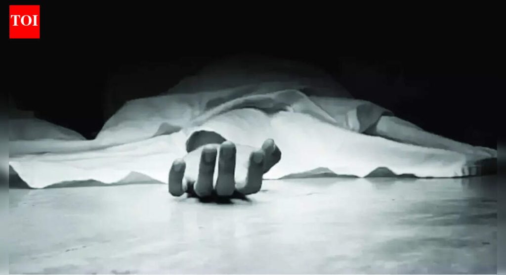 राजस्थान : लष्कराच्या कवायतीदरम्यान कालव्यात टाकी बुडाली; जवान शहीद | भारत बातम्या