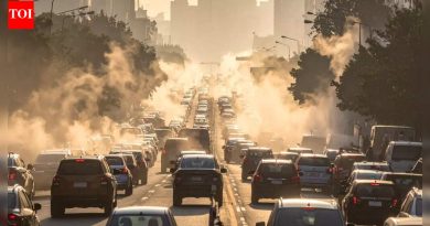 वायू प्रदूषणाच्या दीर्घकाळापर्यंत प्रदर्शनामुळे शांतपणे नैराश्य, चिंता आणि स्मरणशक्ती कमी होत आहे |