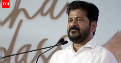 ‘शाकाहारींसाठी एक देव, एक…’: तेलंगणाचे मुख्यमंत्री रेवंत रेड्डी यांनी हिंदू देवतांवर केलेल्या वक्तव्यामुळे वादाला तोंड फुटले