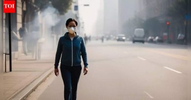 आरोग्याचा इशारा! सर्वोच्च प्रदूषणाच्या दिवसांमध्ये सकाळी लवकर आणि संध्याकाळी उशिरा चालणे तुमच्या फुफ्फुसांना, हृदयाला आणि एकूण आरोग्याला कसे हानी पोहोचवू शकते |