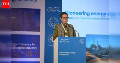 स्वीडिश कॉन्सुल जनरलने COP30 स्टेमॅटनंतर शहर-स्तरीय कारवाईची मागणी केली