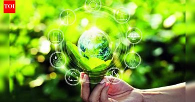 हरित अर्थव्यवस्था 4 ट्रिलियन डॉलर्स मिळवू शकते, 2047 पर्यंत 48 दशलक्ष रोजगार निर्माण करू शकते: अभ्यास