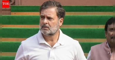 ‘आम्ही भेटू नये अशी सरकारची इच्छा आहे’: पुतीन यांच्या भारत दौऱ्यात राहुल गांधींचा मोठा आरोप; वाजपेयी-मनमोहन कालखंडाचा उल्लेख केला