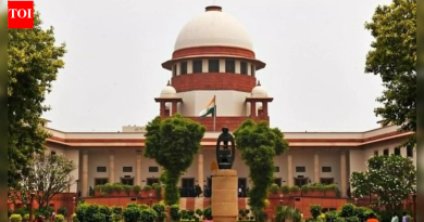 ‘प्रदान करण्यास बांधील’: सर्वोच्च न्यायालयाने राज्यांना एसआयआरसाठी अधिक कर्मचारी तैनात करण्यास सांगितले; TVK ने BLO च्या दुर्दशेला झेंडा दाखवला