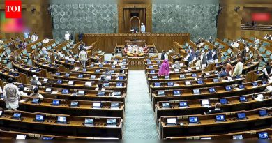 तामिळनाडू विधीसाठी संसदेत भाजप आणि द्रमुकच्या खासदारांमध्ये हाणामारी | भारत बातम्या