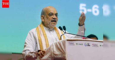 ‘पदकतालिकेत भारत अव्वल पाचमध्ये असेल’: अमित शहा ‘आत्मविश्वास’ अहमदाबाद २०३६ ऑलिम्पिक खेळांचे आयोजन करेल | अधिक क्रीडा बातम्या
