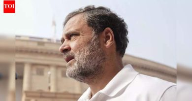 मानहानीचा खटला: भाषणाची मूळ लिंक देण्यासाठी यूएस व्हिडिओ शेअरिंग प्लॅटफॉर्मच्या याचिकेवर पुणे न्यायालयाने राहुल गांधींचा प्रतिसाद मागितला