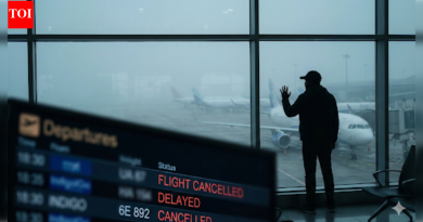 IndiGo fiasco: The real cost of a flight that never took off