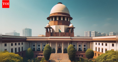 ‘लग्न भेटवस्तूंबाबत सुप्रीम कोर्टाचा निर्णय सर्व मुस्लिम महिलांचा विजय’