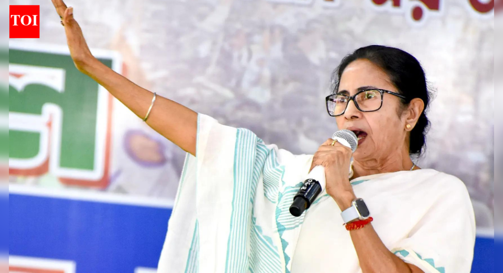‘ही आपत्ती आहे’: इंडिगोच्या फसवणुकीवरून ममता बॅनर्जींनी भाजपवर निशाणा साधला; प्रवाशांच्या व्यथा नमूद करतात