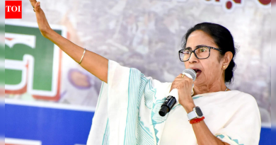 ‘ही आपत्ती आहे’: इंडिगोच्या फसवणुकीवरून ममता बॅनर्जींनी भाजपवर निशाणा साधला; प्रवाशांच्या व्यथा नमूद करतात