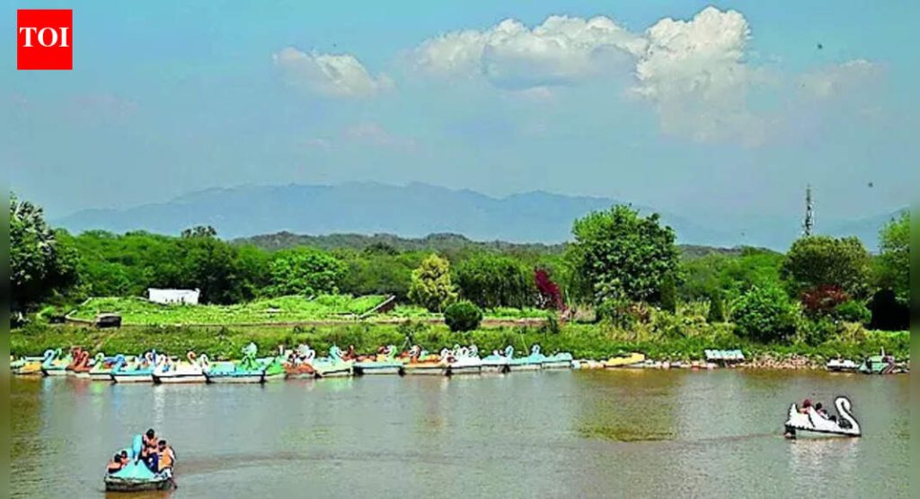 30 वर्षांनंतर, SC म्हणते की उच्च न्यायालयांना राज्य-संबंधित हरित समस्यांकडे लक्ष देण्याची वेळ आली आहे