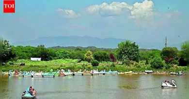 30 वर्षांनंतर, SC म्हणते की उच्च न्यायालयांना राज्य-संबंधित हरित समस्यांकडे लक्ष देण्याची वेळ आली आहे