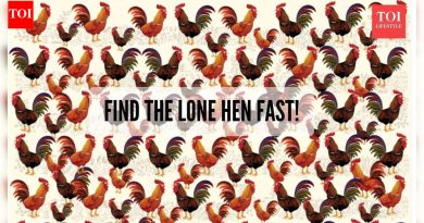 आव्हान: 100 पैकी फक्त 1 10 सेकंदांपेक्षा कमी वेळात या कोंबड्यांमध्ये लपलेली कोंबडी शोधू शकते |