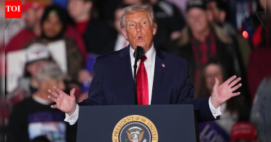 ‘आमच्याकडे नॉर्वे, स्वीडनचे लोक का येऊ शकत नाहीत?’ ट्रम्प ‘तिसऱ्या जगाच्या’ स्थलांतरितांविरुद्ध बडबडत आहेत – पहा