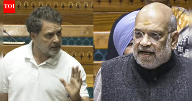 लोकसभेत SIR row debate: राहुल गांधींनी अमित शहांना ‘खुले आव्हान’ देऊन अडवलं; ‘मी ठरवेन’ असे उत्तर मिळते – पहा