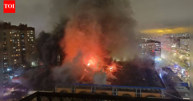 रशियाच्या सेंट पीटर्सबर्गमधील ज्वालाग्राहीत बाजार; अनेक स्फोट ऐकले – व्हिडिओ