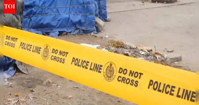 ‘नुकसानाने व्यथित’: पंतप्रधान मोदींनी आंध्र बस अपघातातील मृतांसाठी 2 लाखांची घोषणा केली; 9 ठार, 20 जखमी