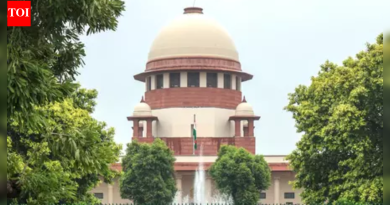 ‘HC मध्ये काहीतरी गडबड’: SC ने करूर चेंगराचेंगरीच्या SIT तपासाविरोधातील याचिका रद्द केली; तमिलनाडु सरकार सीबीआयच्या तपासात हस्तक्षेप करणार नाही