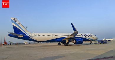 DGCA ने इंडिगो ऑपरेशन्सवर देखरेख करणाऱ्या 4 अधिकाऱ्यांना काढून टाकले