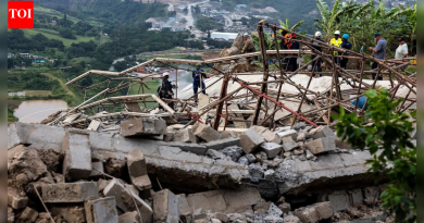 दक्षिण आफ्रिका : मंदिर कोसळून भारतीय वंशाच्या चार जणांचा मृत्यू; बेकायदा बांधकामाचा उल्लेख केला