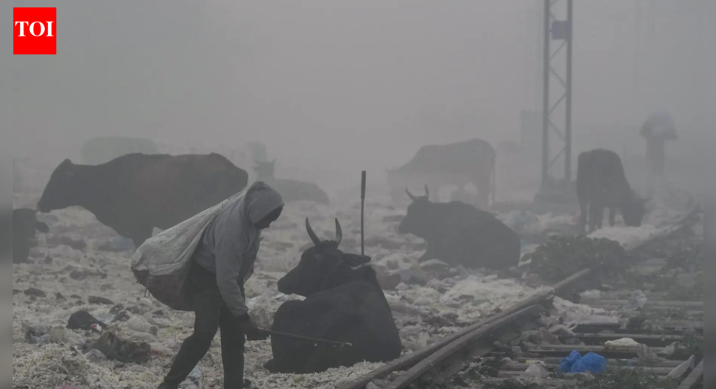 दिल्ली वायू प्रदूषण: सिंगापूर, यूके आणि कॅनडाने AQI वाढल्याने सल्लागार जारी केले; प्रवासी सावधगिरी बाळगा
