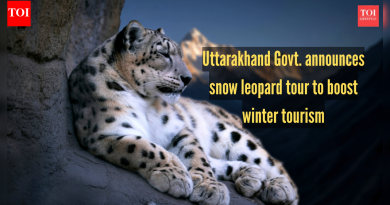हिवाळी पर्यटनाला चालना देण्यासाठी उत्तराखंड सरकारने हिम बिबट्याच्या सहलीची घोषणा केली; बिग कॅट पाहण्यासाठी 5 इतर भारतीय ठिकाणे
