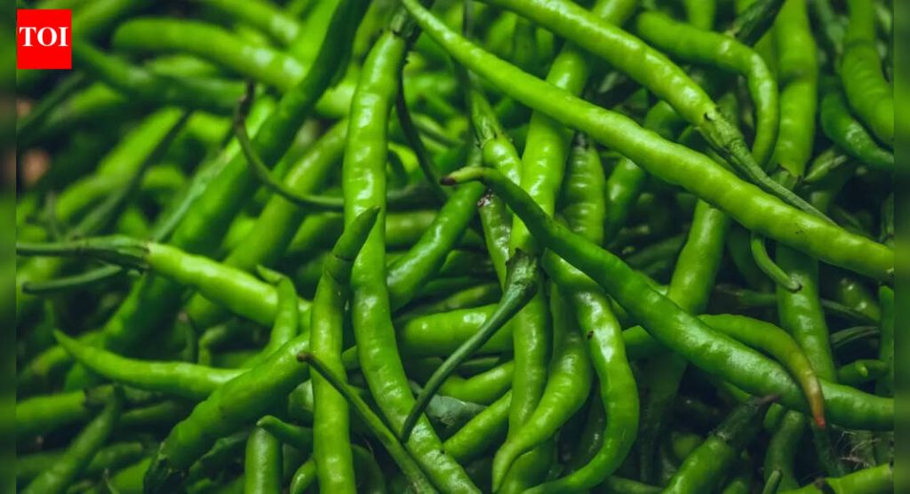 जेवणात मिरची का घातल्याने हिवाळ्यात उबदारपणा, पचन आणि चयापचय सुधारते |