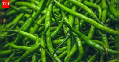 जेवणात मिरची का घातल्याने हिवाळ्यात उबदारपणा, पचन आणि चयापचय सुधारते |