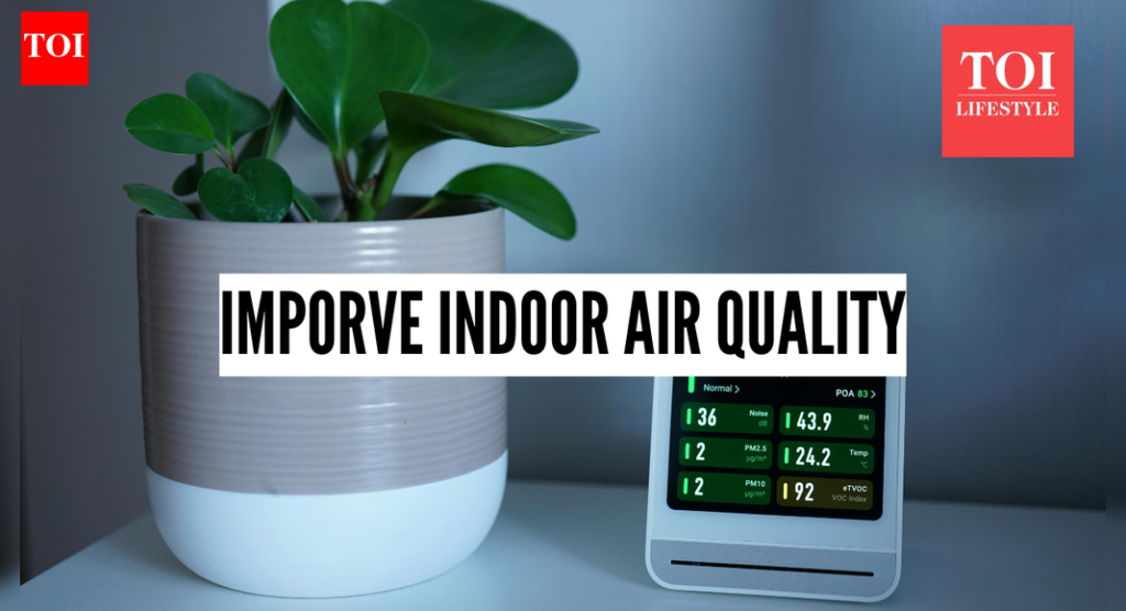 AQI स्पाइक दरम्यान घरातील हवेची गुणवत्ता कशी सुधारायची |