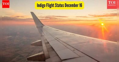 इंडिगो फ्लाइट स्टेटस 16 डिसेंबर: दाट धुक्यामुळे अनेक उड्डाणे रद्द; एअरलाइन्स सकाळी लवकर प्रवास सल्ला जारी करतात
