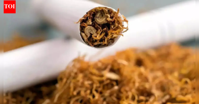 ‘गोगो पेपर’वर बंदी: गुजरातमध्ये रोलिंग पेपर, प्री-रोल्ड शंकूच्या विक्रीवर बंदी; तरुणांच्या व्यसनाचा हवाला देते