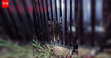 बालकाचा मृत्यू झाल्यानंतर 24 तासांनंतर जुन्नरमध्ये याच ठिकाणी बिबट्या अडकला; वनविभागाने दीर्घकालीन उपाययोजना करण्याची ग्रामस्थांची मागणी आहे