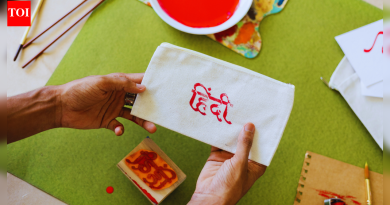 8 देश जेथे सामान्यतः हिंदी बोलली जाते