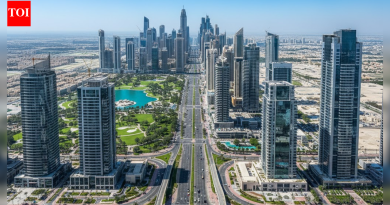UAE ने कॉर्पोरेट कर, VAT आणि कंपनी कायद्यांमध्ये सुधारणा सादर केल्या आहेत जागतिक बातम्या