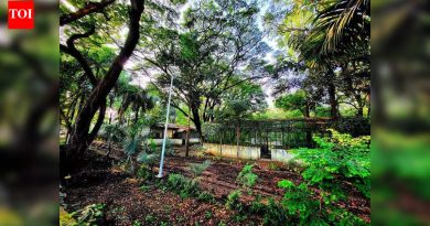 मुंढवा जमीन व्यवहार मुद्रांक शुल्क माफी प्रकरणी तेजवानी यांना २३ डिसेंबरपर्यंत पोलिस कोठडी