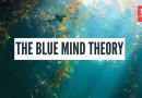 ब्लू माइंड थिअरी काय आहे आणि तुम्ही त्याचे फायदे कसे मिळवू शकता |