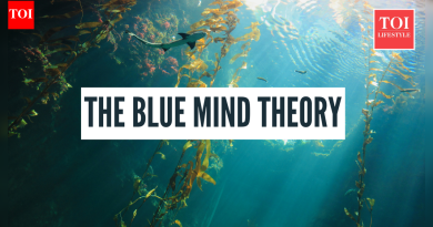 ब्लू माइंड थिअरी काय आहे आणि तुम्ही त्याचे फायदे कसे मिळवू शकता |