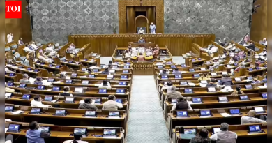 VB-G RAM G विधेयक लोकसभेत मंजूर: गदारोळानंतर सभागृह तहकूब – महत्त्वाचे मुद्दे