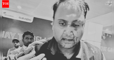 ‘रांग कापणे’: दिल्ली विमानतळावर प्रवाशावरील प्राणघातक हल्लाप्रकरणी एआय एक्स्प्रेसने पायलटला अटक केली; एअरलाइनने चौकशीचे आदेश दिले