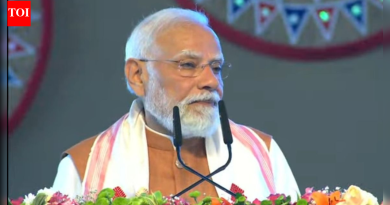‘देशद्रोही घुसखोरांना संरक्षण देण्याचा प्रयत्न करत आहेत’: पंतप्रधान मोदींनी आसामच्या रॅलीत एसआयआरचा बचाव केला; भारत ब्लॉकची निंदा
