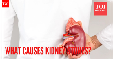 पाण्याच्या कमतरतेपेक्षा जास्त: किडनी स्टोन कशामुळे होतात आणि त्यावर उपचार कसे केले जातात