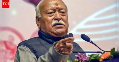 ‘जबाबदारीसाठी तयार नाही’: RSS प्रमुख मोहन भागवत लिव्ह-इन रिलेशनशिप आणि किती मुले असावीत – पहा